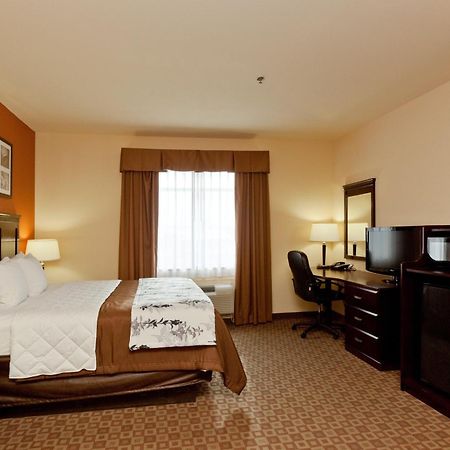 Sleep Inn & Suites Hwy 290-Nw Freeway Houston Rum bild