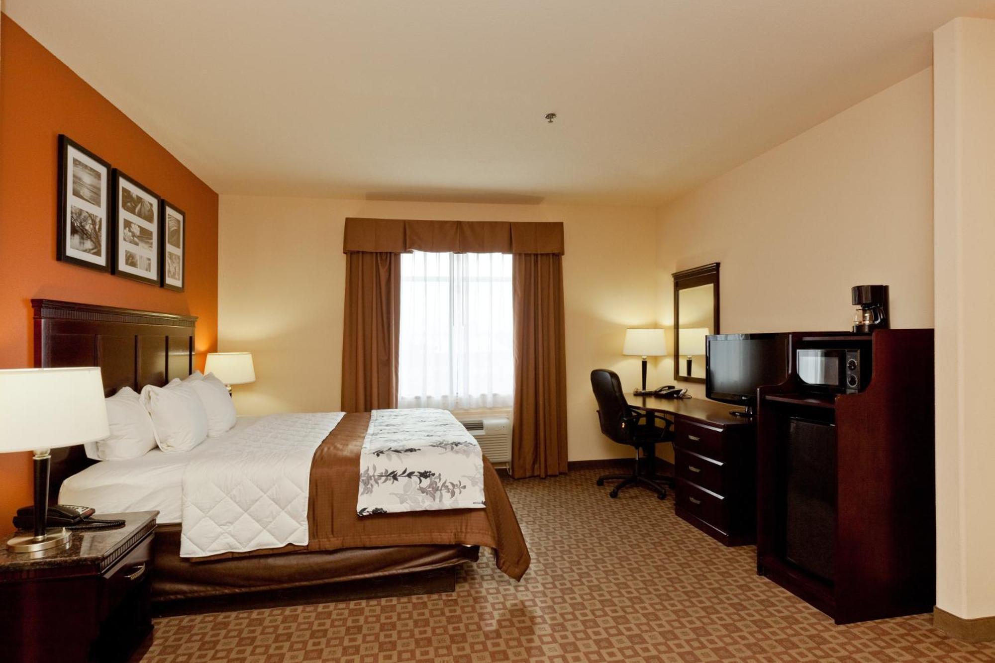 Sleep Inn & Suites Hwy 290-Nw Freeway Houston Rum bild